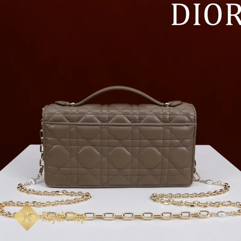 Sau Túi nữ Dior Lady Br-0980