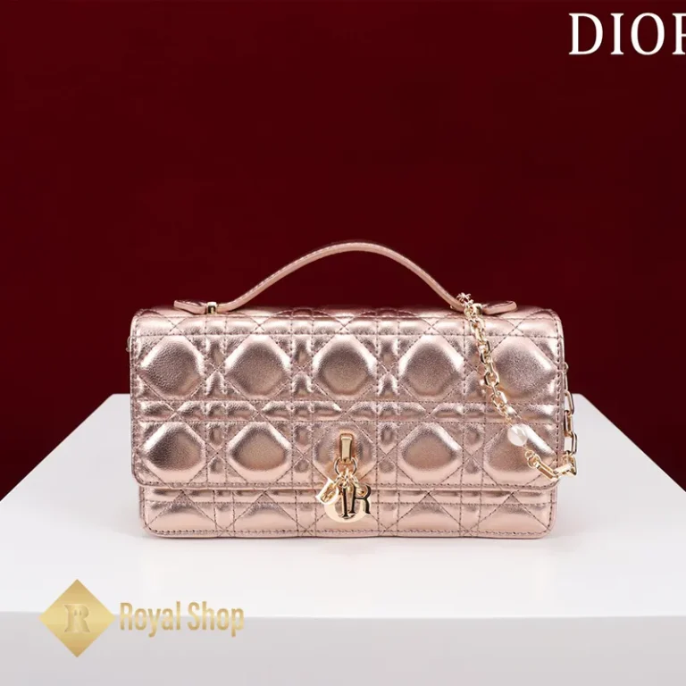 Túi nữ Dior Lady P-098014