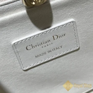 Thẻ tang Túi Dior nữ Small Dior Book Tote DR091202