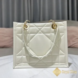 Trước Túi Dior nữ Small Dior Book Tote DR091202