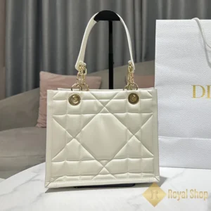 Túi Dior nữ Small Dior Book Tote DR091202