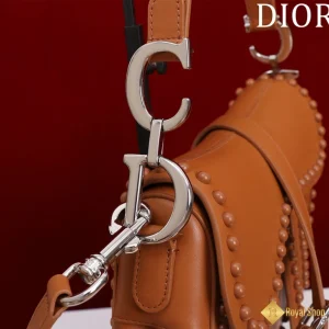 cận cảnh Túi xách Dior nữ Saddle màu nâu M0446