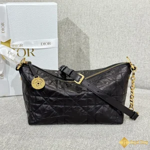 Túi Dior nữ Diorstar Hobo màu đen S3202