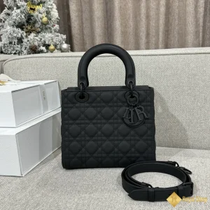 Túi Dior nữ Lady mau đen 111225