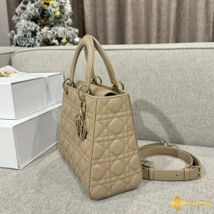 Túi Dior nữ Lady màu nâu 111211 like auth