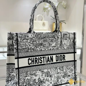 Túi nữ Dior Book Tote 111209 Hà Nội