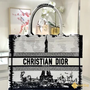 Túi nữ Dior Book Tote 111210