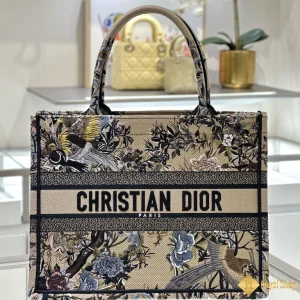 Túi nữ Dior Book Tote 111213