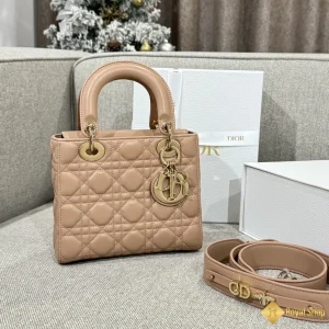 cận cảnh Túi nữ Dior Small Lady My ABCDior hồng đất M0538