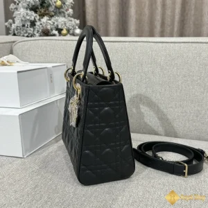 shop bán Túi Dior nữ Lady màu đen M0565