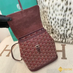 cận cảnh Túi nam Goyard Alpin Mini HA80355