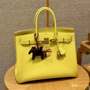 Túi nữ Hermes Birkin THM851070