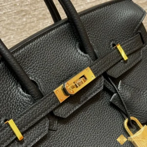 sự tinh tế Túi nữ Hermes Birkin THM851091