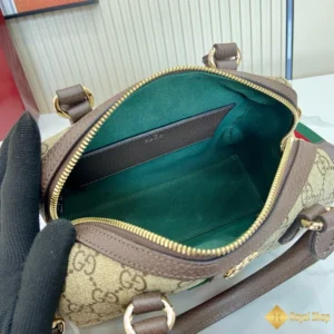 Túi Gucci nữ Ophidia 841294 hot